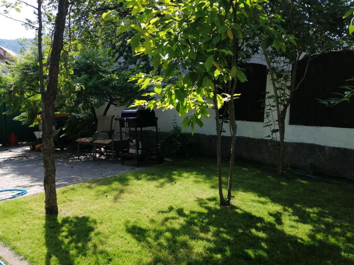 Casa Scheiana Bed & Breakfast Brasov Ngoại thất bức ảnh
