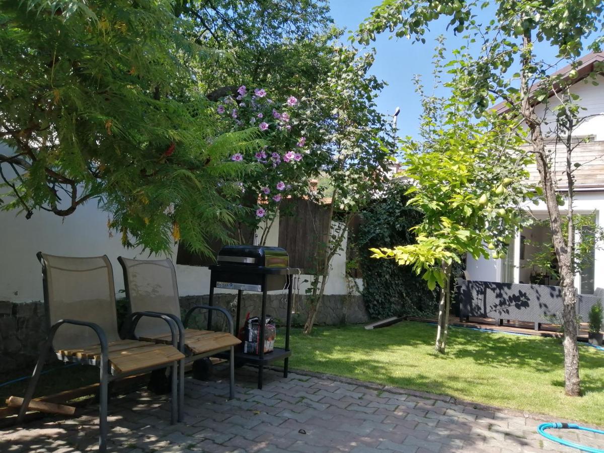Casa Scheiana Bed & Breakfast Brasov Ngoại thất bức ảnh
