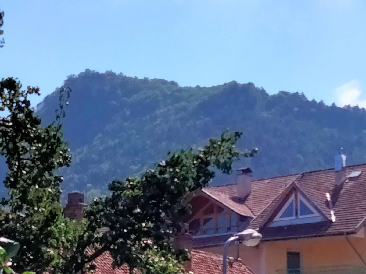 Casa Scheiana Bed & Breakfast Brasov Ngoại thất bức ảnh