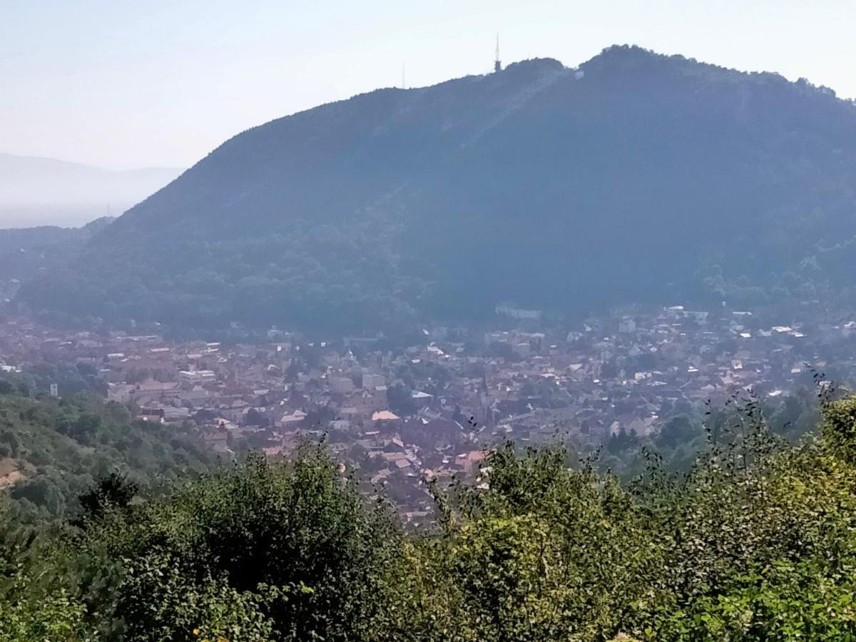 Casa Scheiana Bed & Breakfast Brasov Ngoại thất bức ảnh